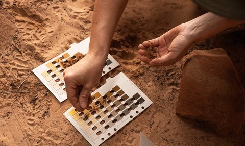 Person uses color matching cards on archeological dig.