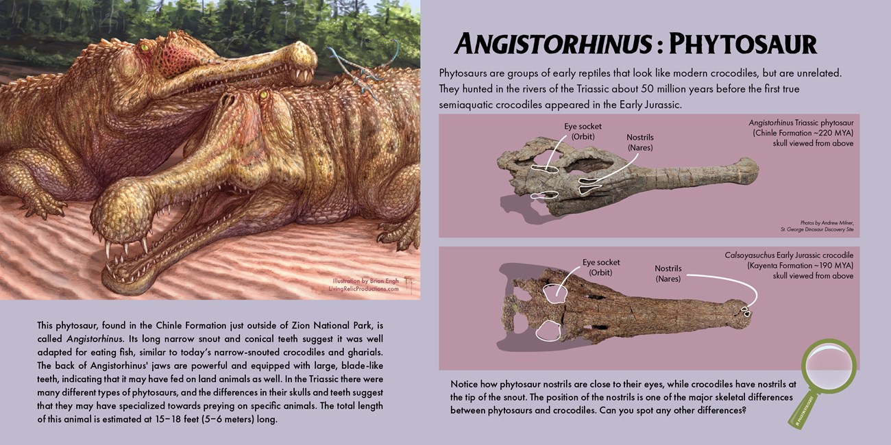 Purple exhibit panel. Long description in body of page.