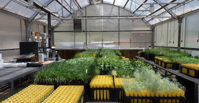 The Zion Green House. The Zion Green House.