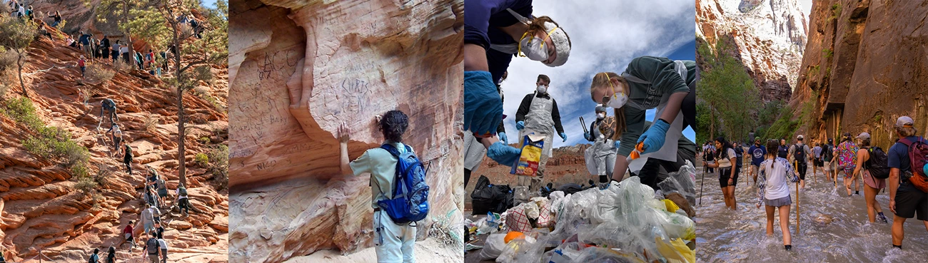 Visitor Use Management Issues 4 photos, left to right: a long line of people up an orange sandstone cliff, a person cleaning graffiti off of beige canyon walls, people with gloves, masks, and aprons sorting trash, a large group of people hiking in a river between canyon walls