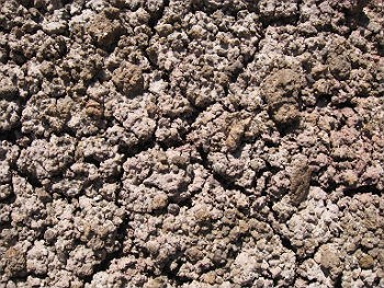 purple-colored bentonite of the Chinle Formation