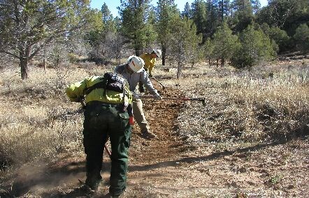 Three fire crew members using hand tools to clear a fire line.