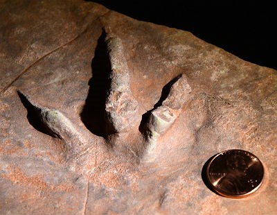Dinosaurs and Bigfoot
