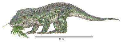Revueltosaurus