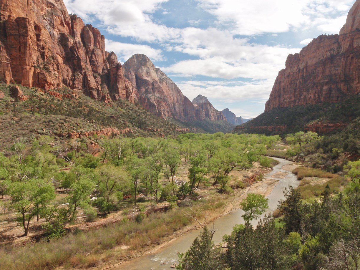 View from Kayenta trail into open canyon, red sandstone rock dotted green shrubs and trees along the Virgin River