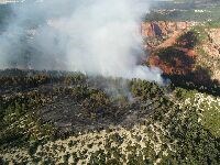 A view from a plane, looking down on a plateau covered in juniper trees with a large column of smoke rising.