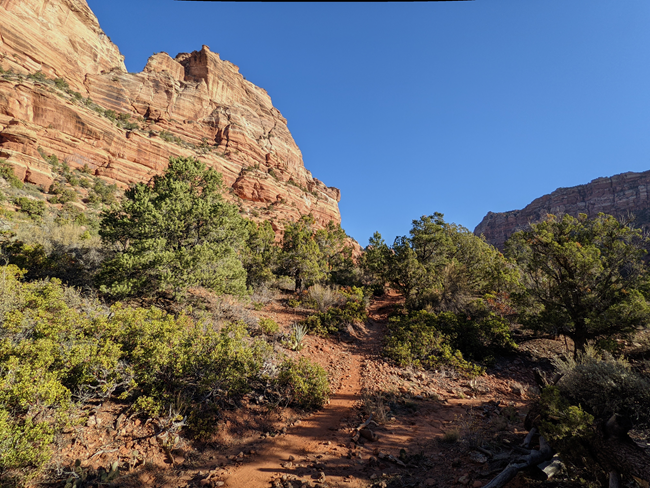 Trees on Left Fork