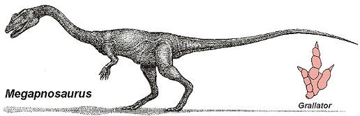 Megapnosaurus - Grallator track