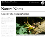Nature Notes 2009