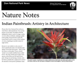 Nature Notes 2011