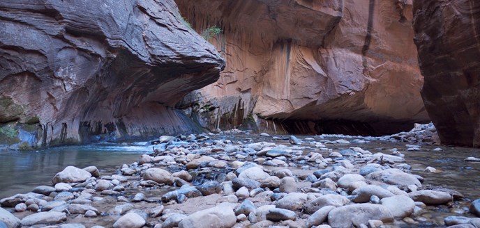 The Virgin River in The Narrows.