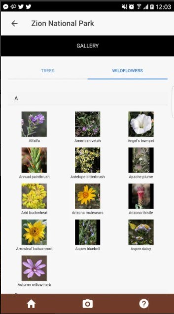 search screen on the app featuring a variety of flowers