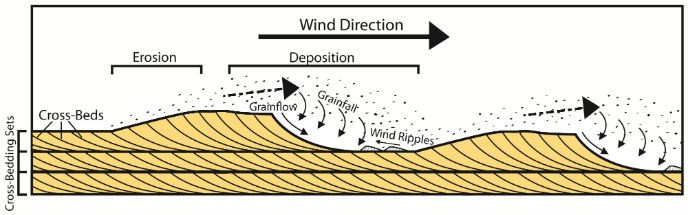 diagram showing how wind-blown sand produces cross-bedding pattern
