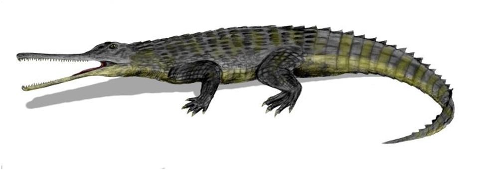 Phytosaur