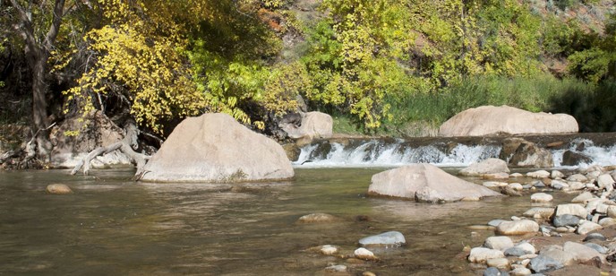 The Virgin River in the fall.