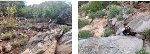 two photographs of search dog with handler hiking in rocky terrain