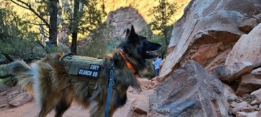 photograph of K-9 Search Dog Zoey, in a rocky canyon