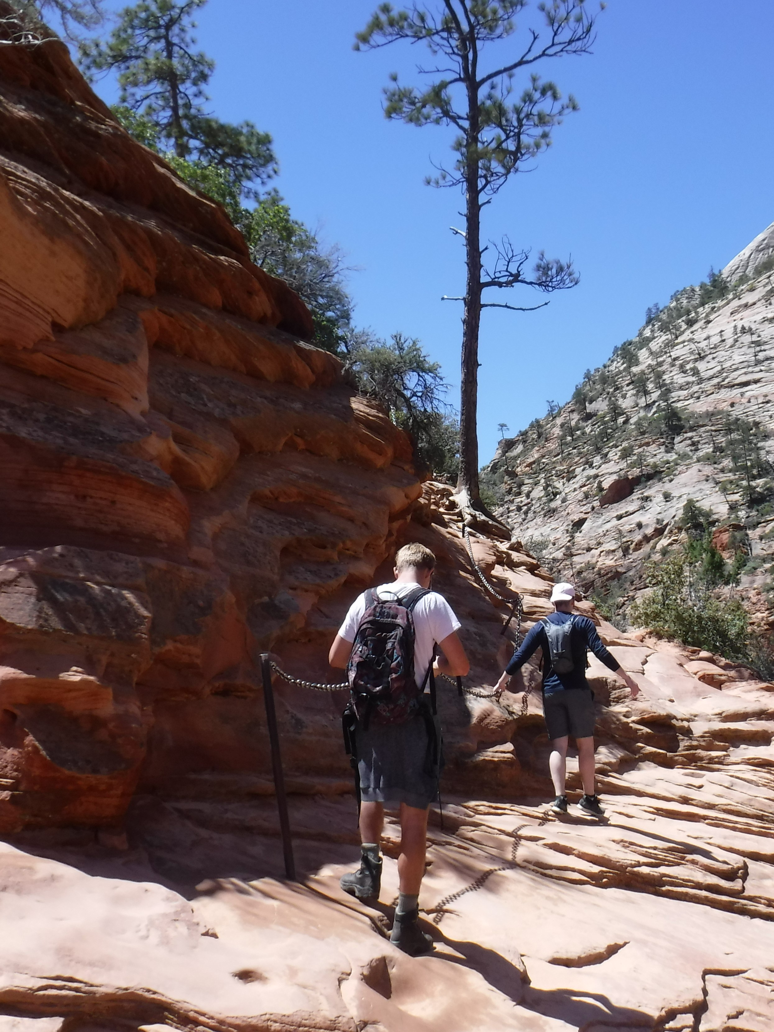 Two hikers walk a narrow trail guided by chains