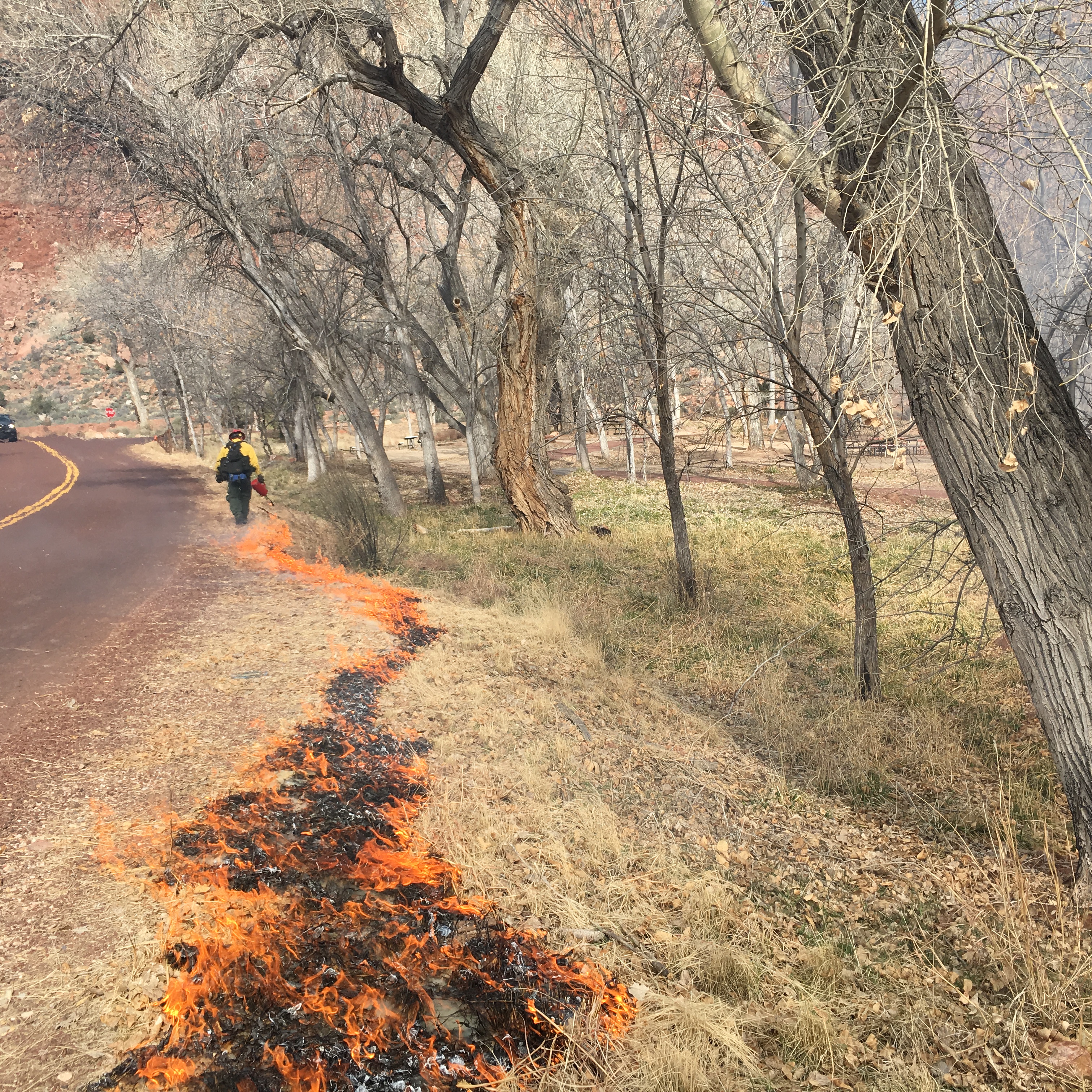 Prescribed Burn