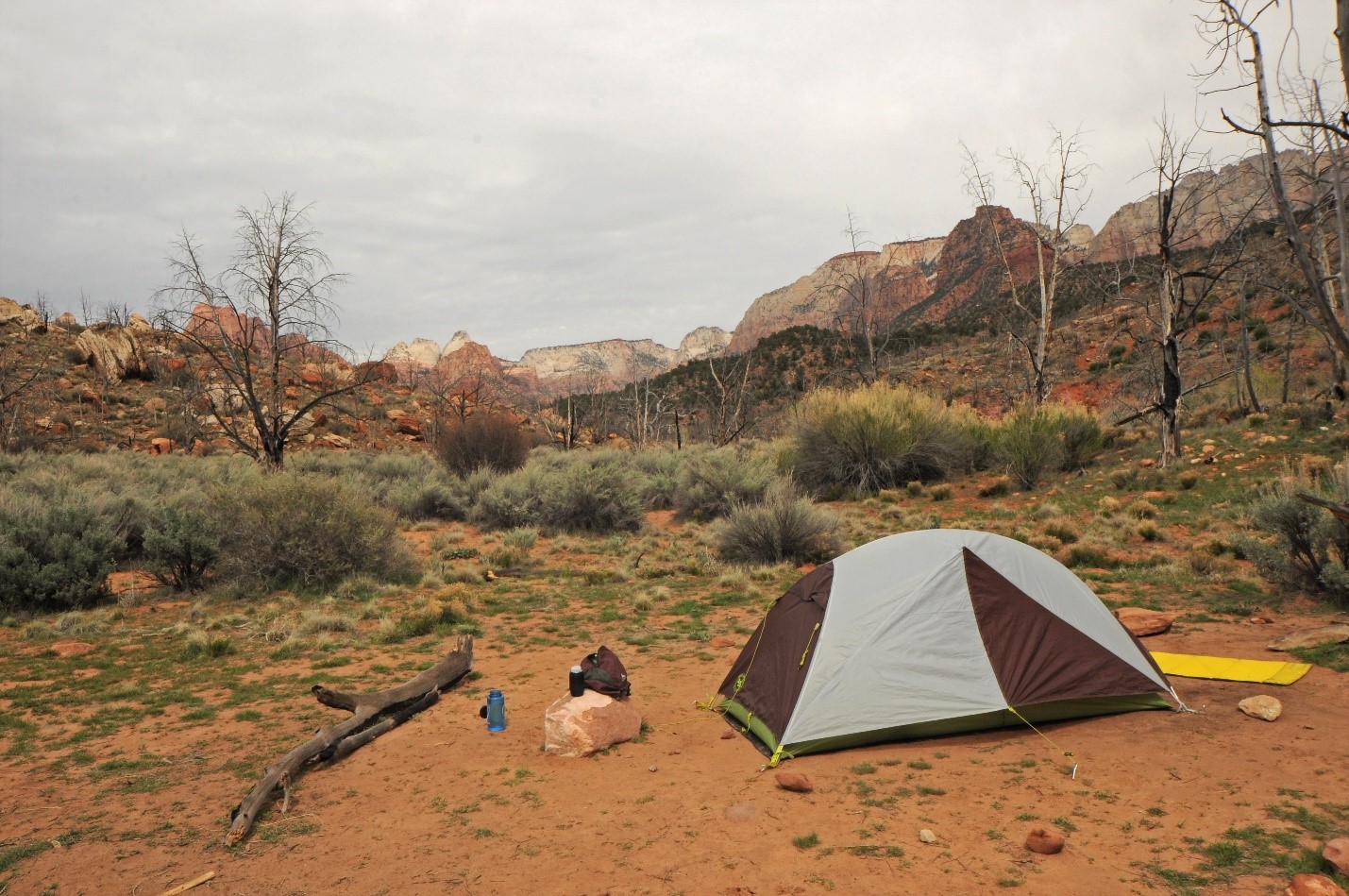 A tent in the Zion back country