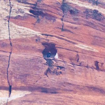 Female condor in nest cave in Zion