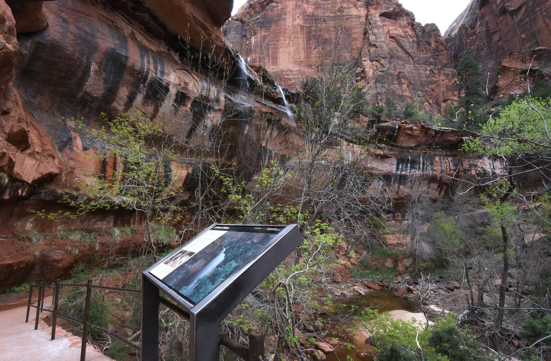 Lower Emerald Pools Trail