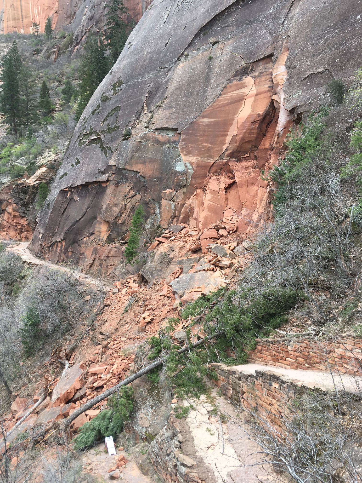 Fallen rocks on East Rim Trail