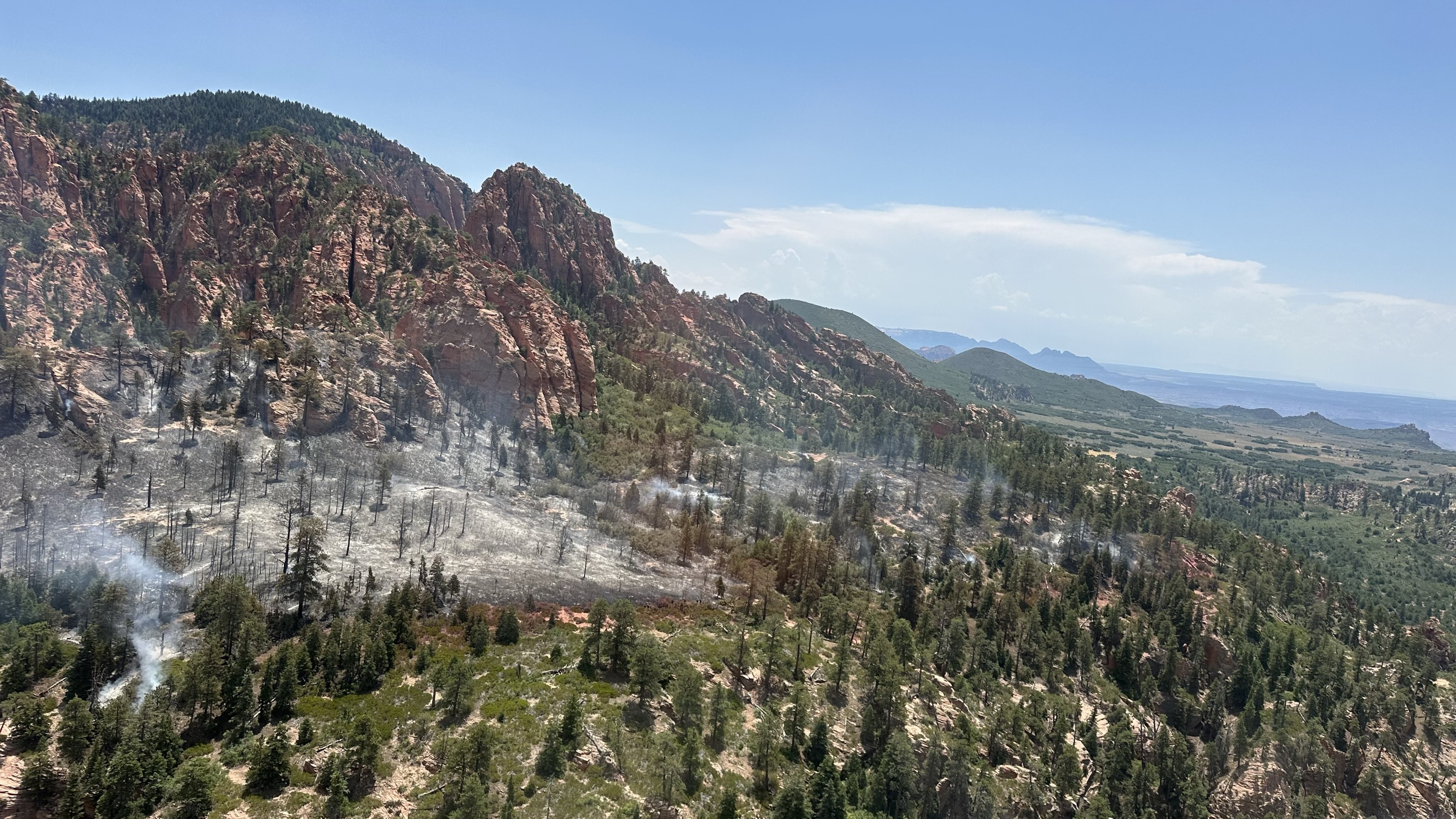 Kolob Terrace Fire Smoke and dead trees on top sandstone cliffs and canyons surrounded by other trees