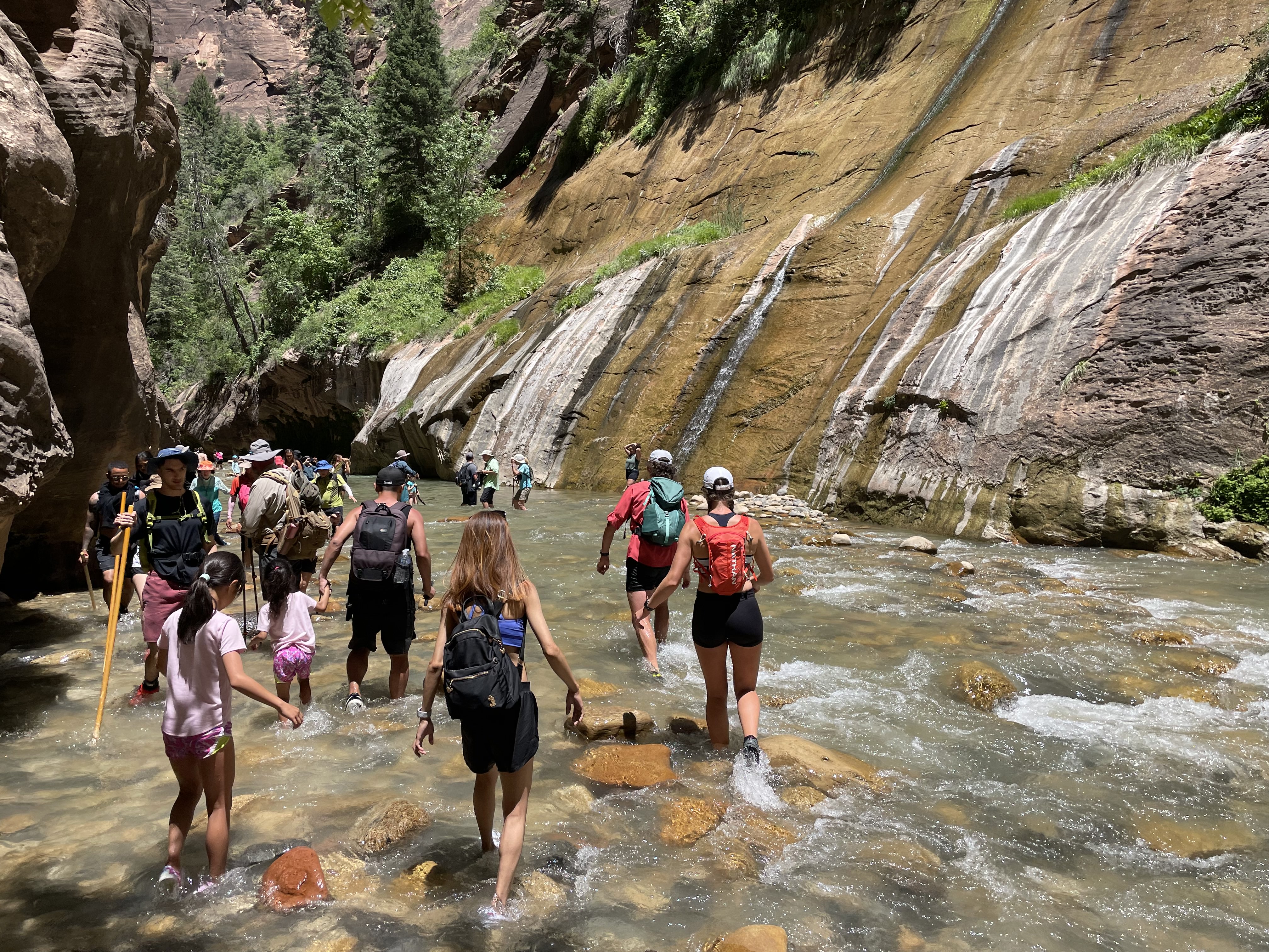Narrows Visitor Use Management People hiking through a river with a brown sandstone canyon surrounding them