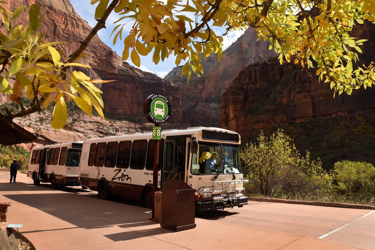 Shuttle Bus