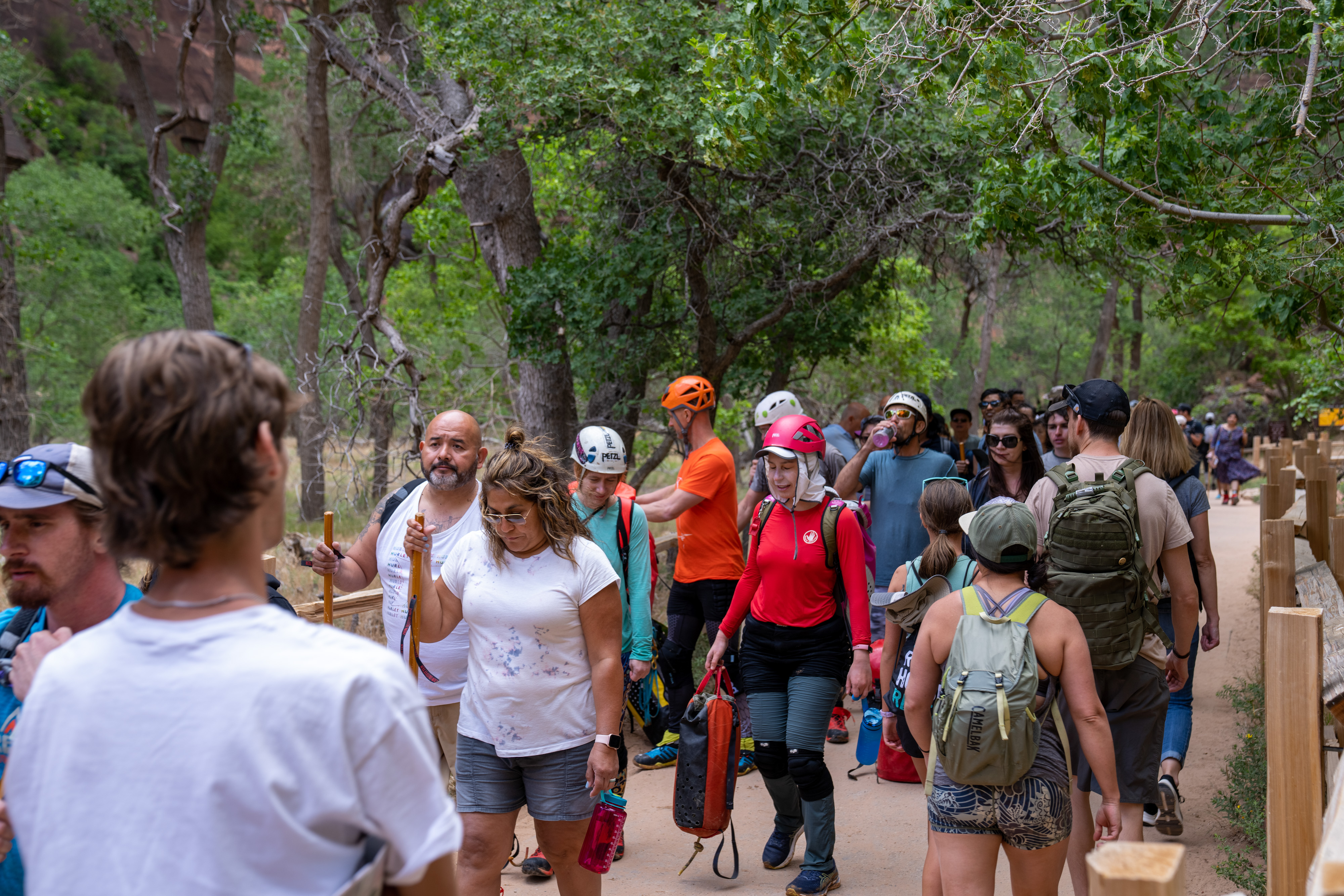 A large group of people stand in line along a paved walkway.