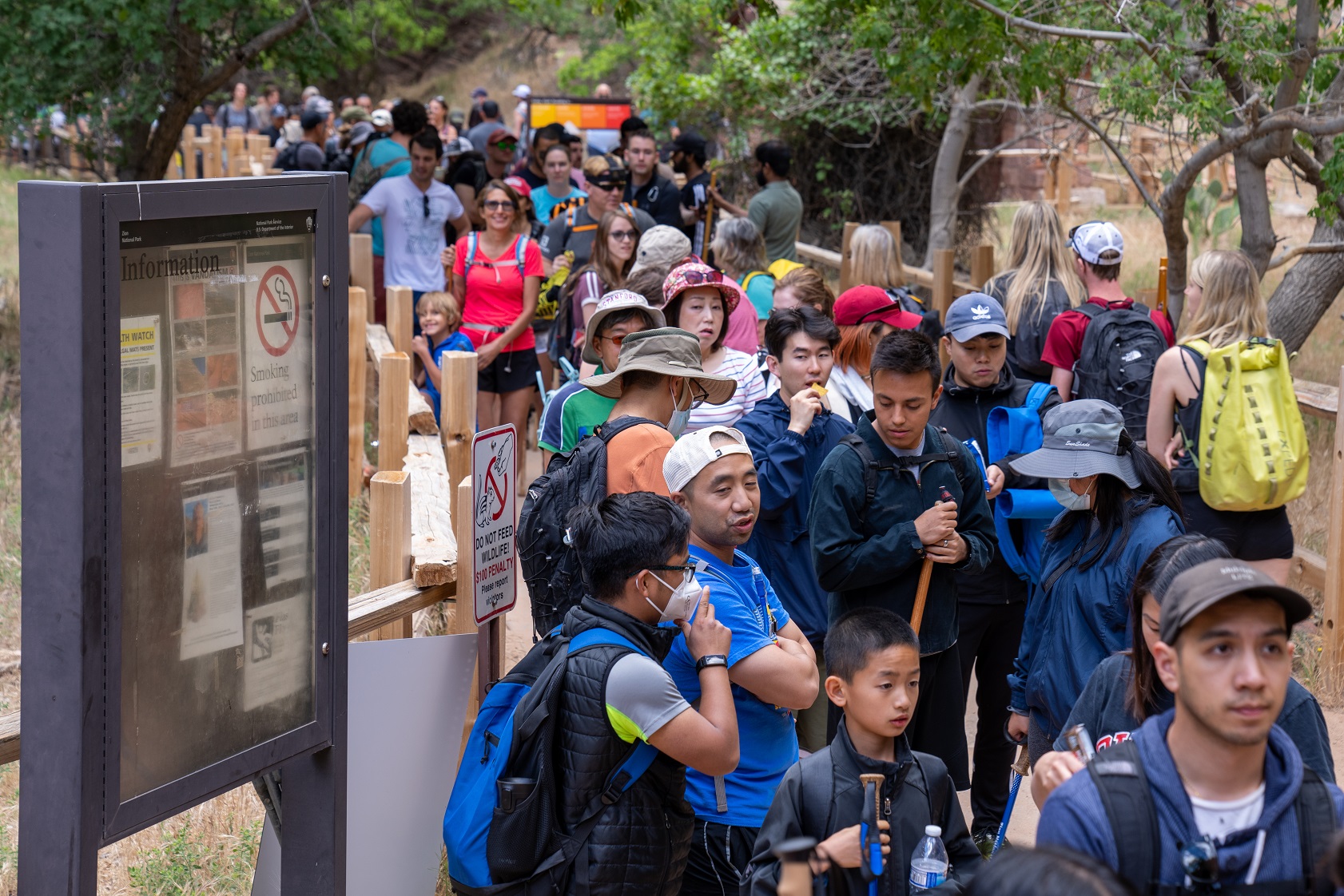 Visitors at the Temple of Sinawava in 2022. Line of people stands on paved trail in Zion National Park