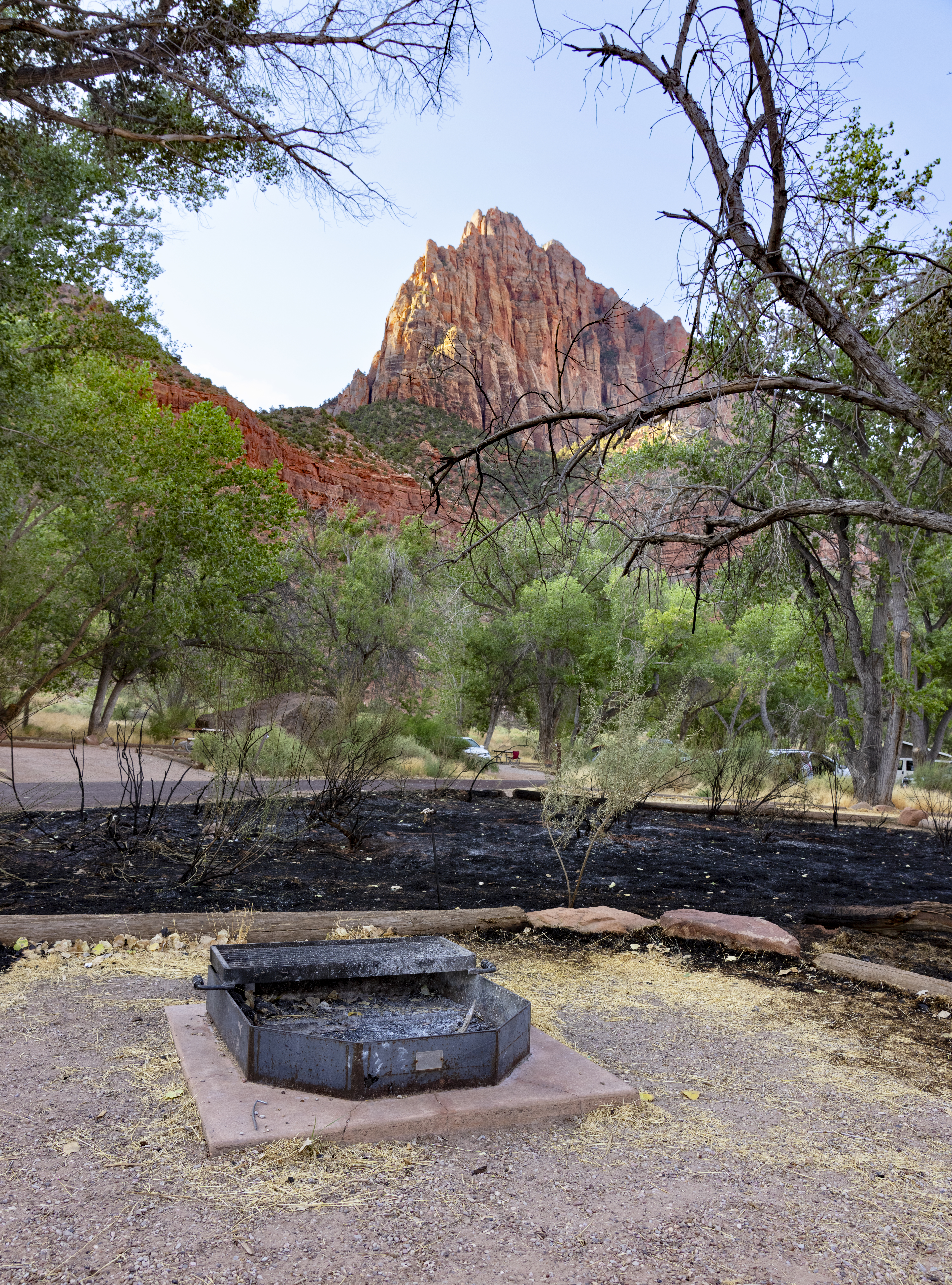 Blackened, burned soil near steel campfire ring surrounded by plants with red rock rising in the distance.
