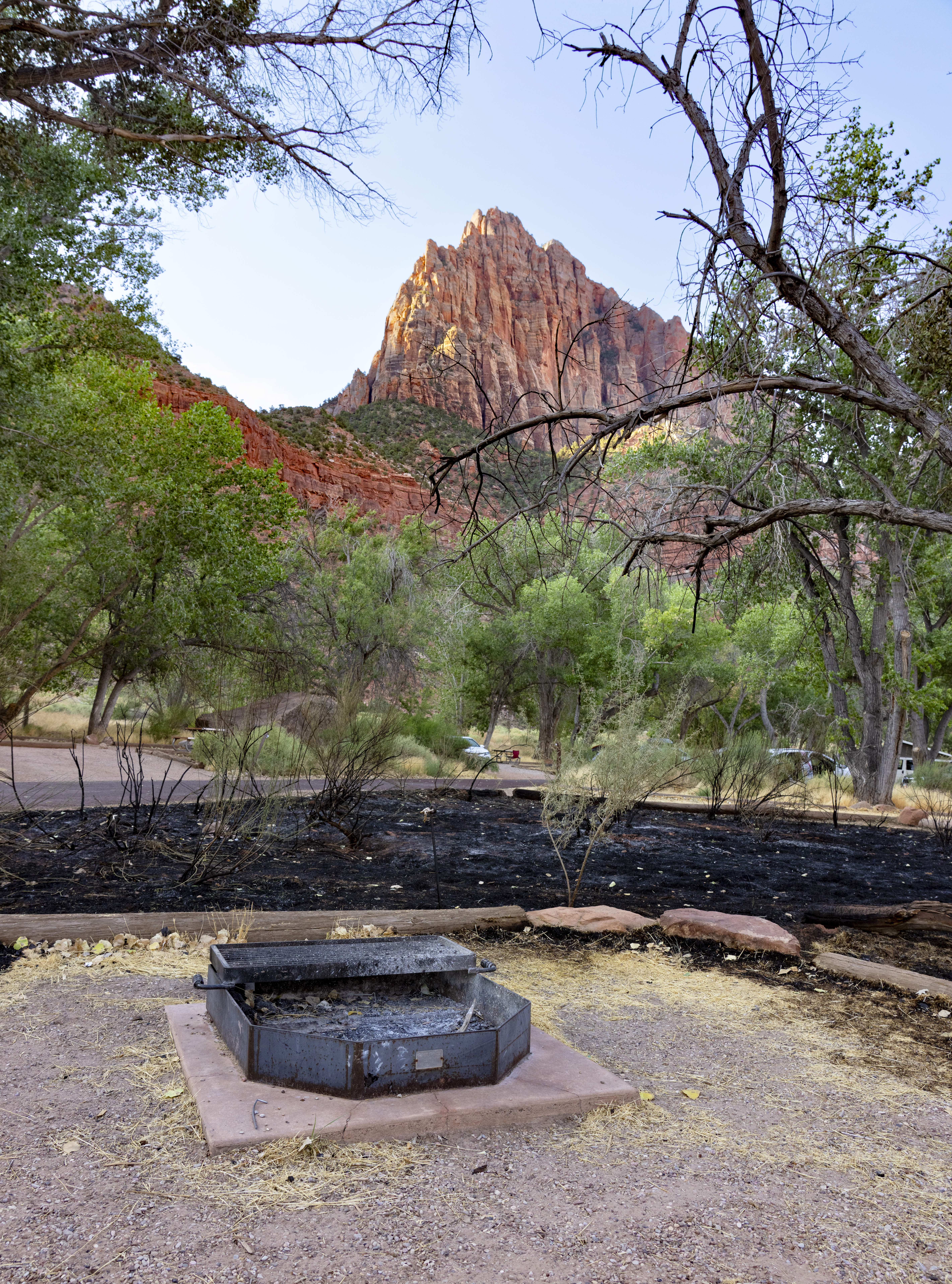 Watchman Campground Fire aftermath Blackened, burned soil near steel campfire ring surrounded by plants with red rock rising in the distance.