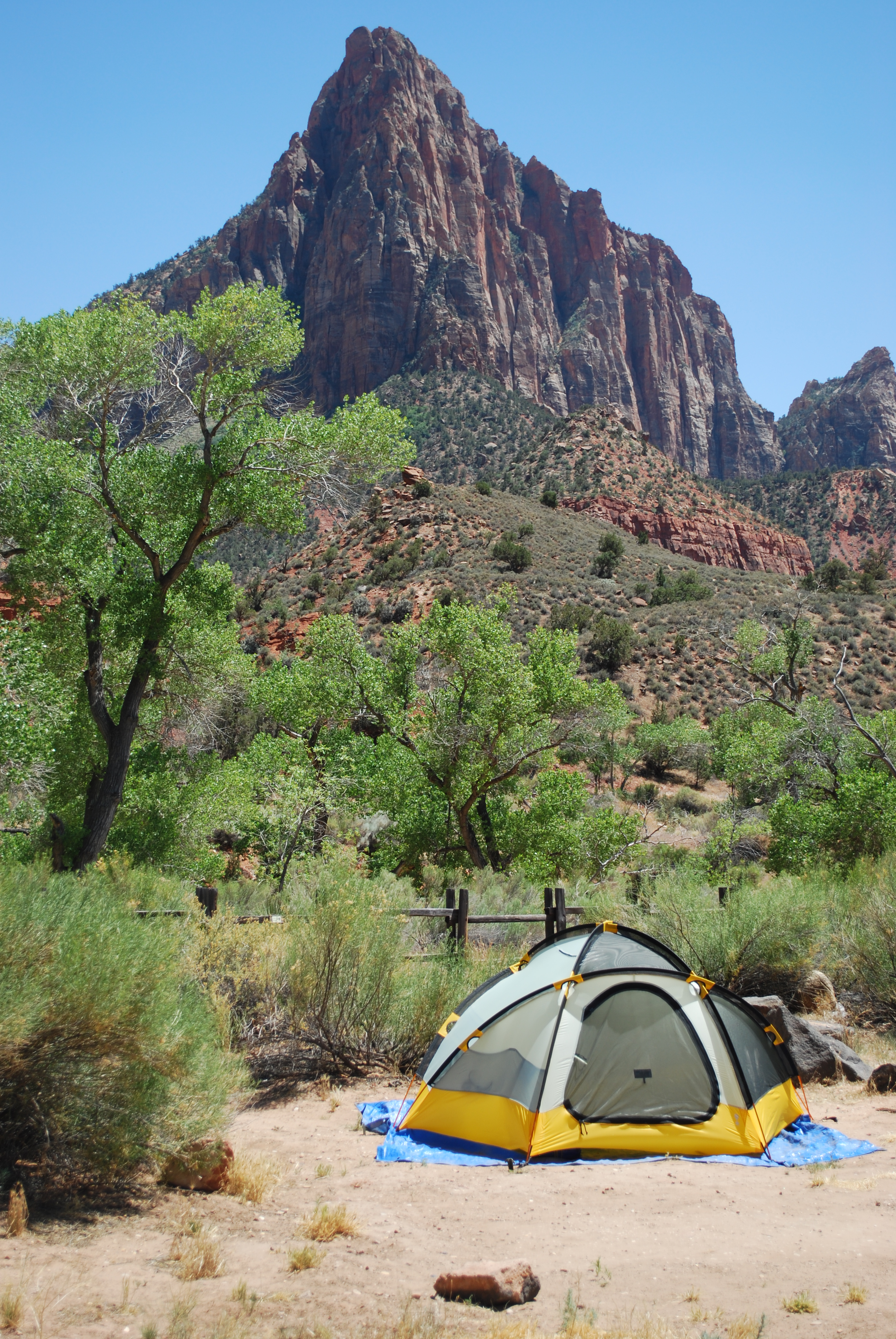 A tent stands on bare ground surrounded by green plants with red rocks rising high in the distance.