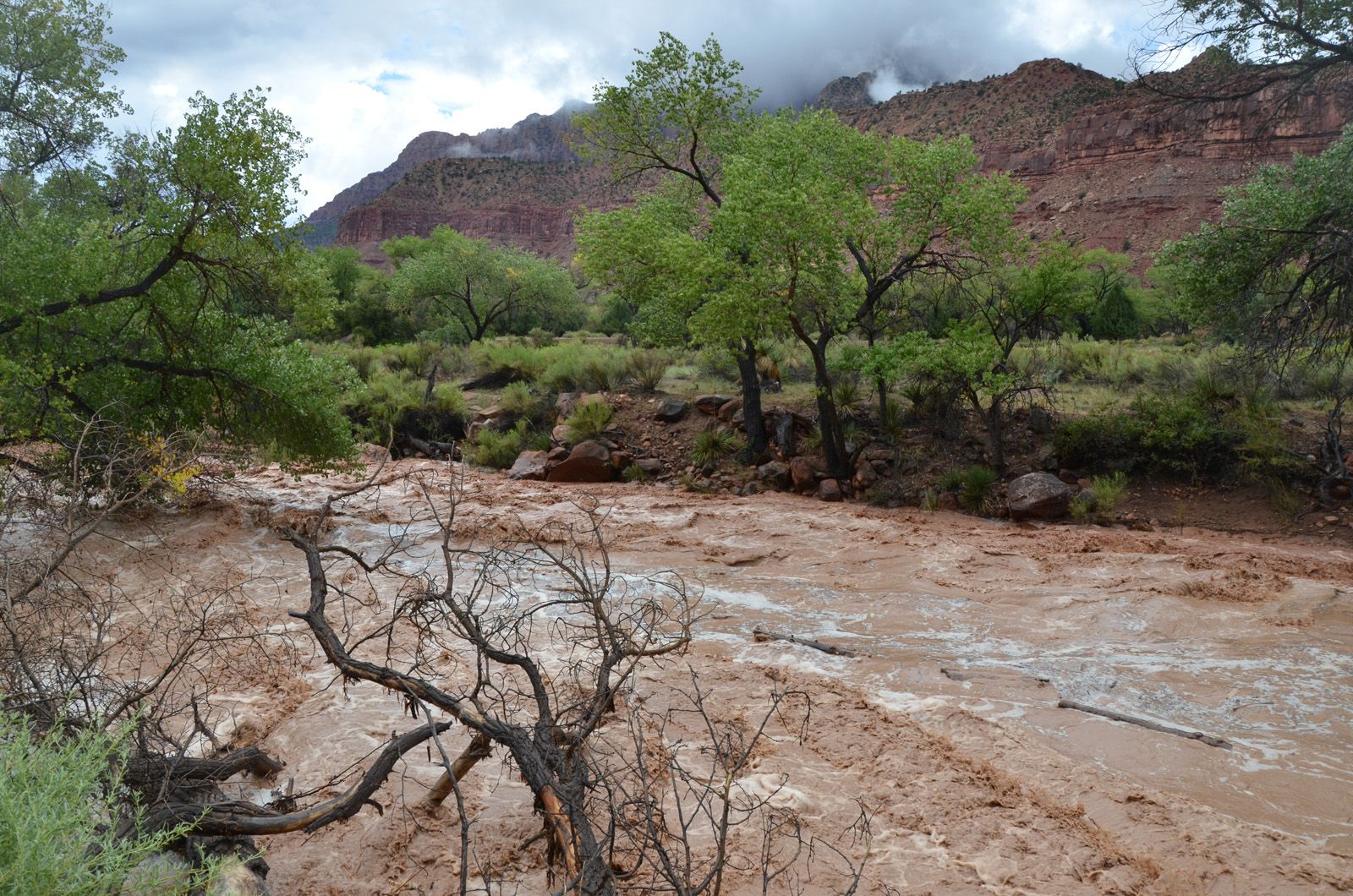 Virgin River