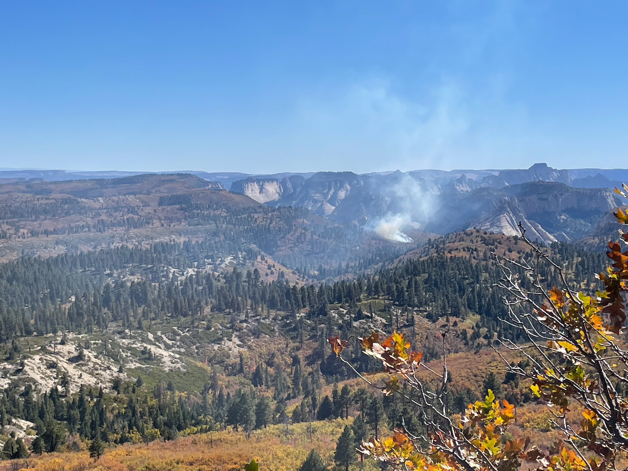 Smoke rising from fire in Zion National Park