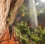 Park ranger walking by a waterfall