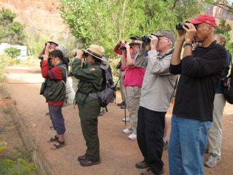 Ranger-led Bird Walk Ranger-led Bird Walk