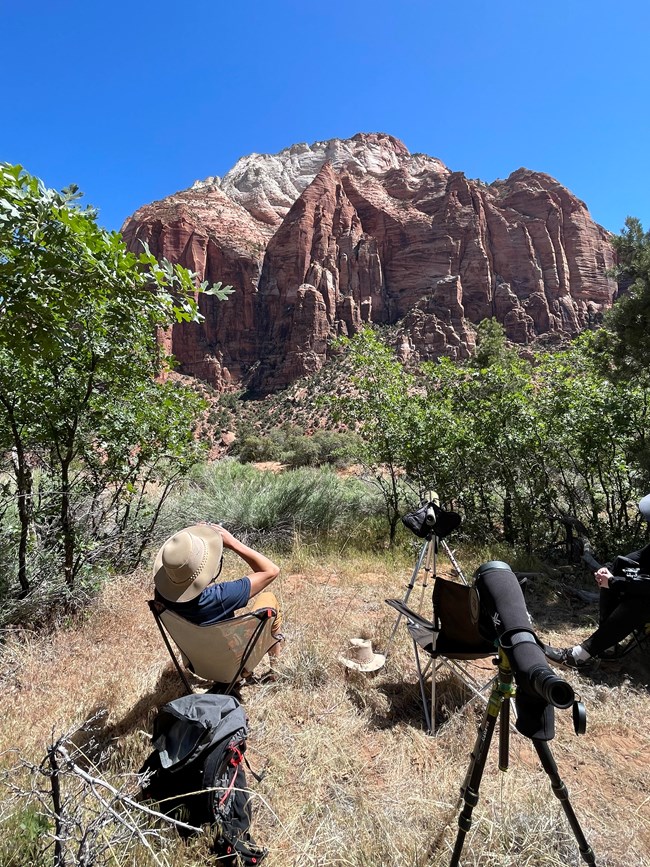 People stand near a spotting scope in Zion National Park.