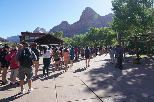 A long line of people wait to enter the park