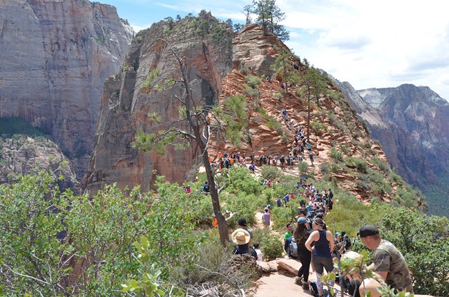 A long line of people wait on a rocky ridge