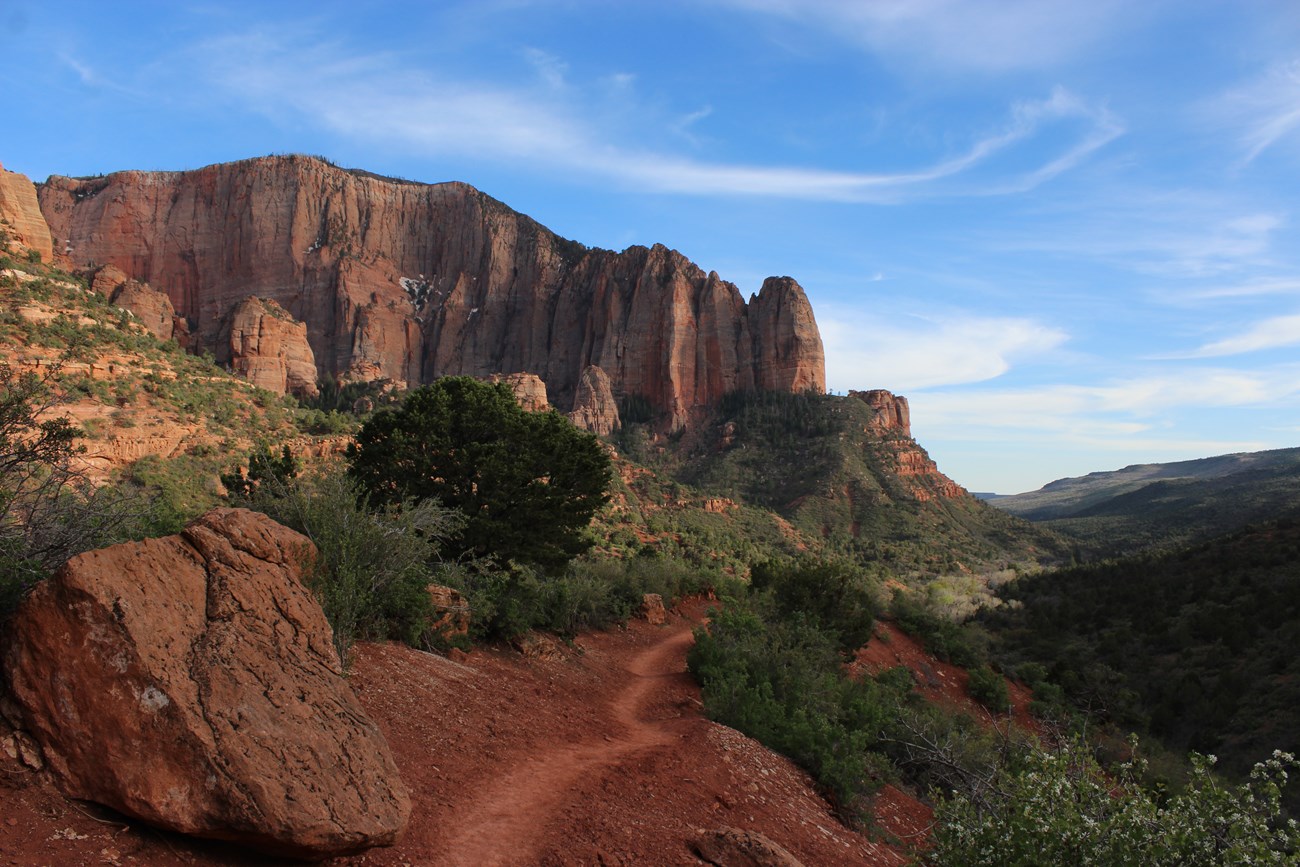 A dirt trail extends into the shrubs with the setting sunlight highlighting dramatic red cliffs in the background