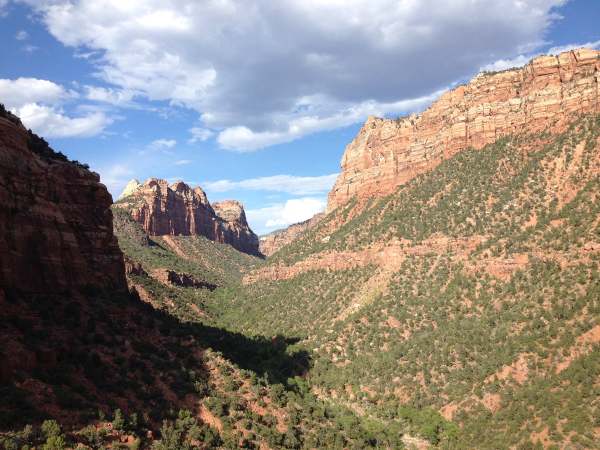 Left Fork (Subway) Bottom-Up - Zion National Park (U.S. National Park ...