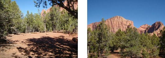 Campsite
