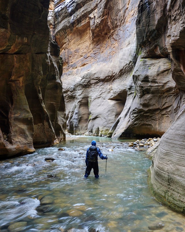 A man stands in a river at the bottom of a narrow canyon.