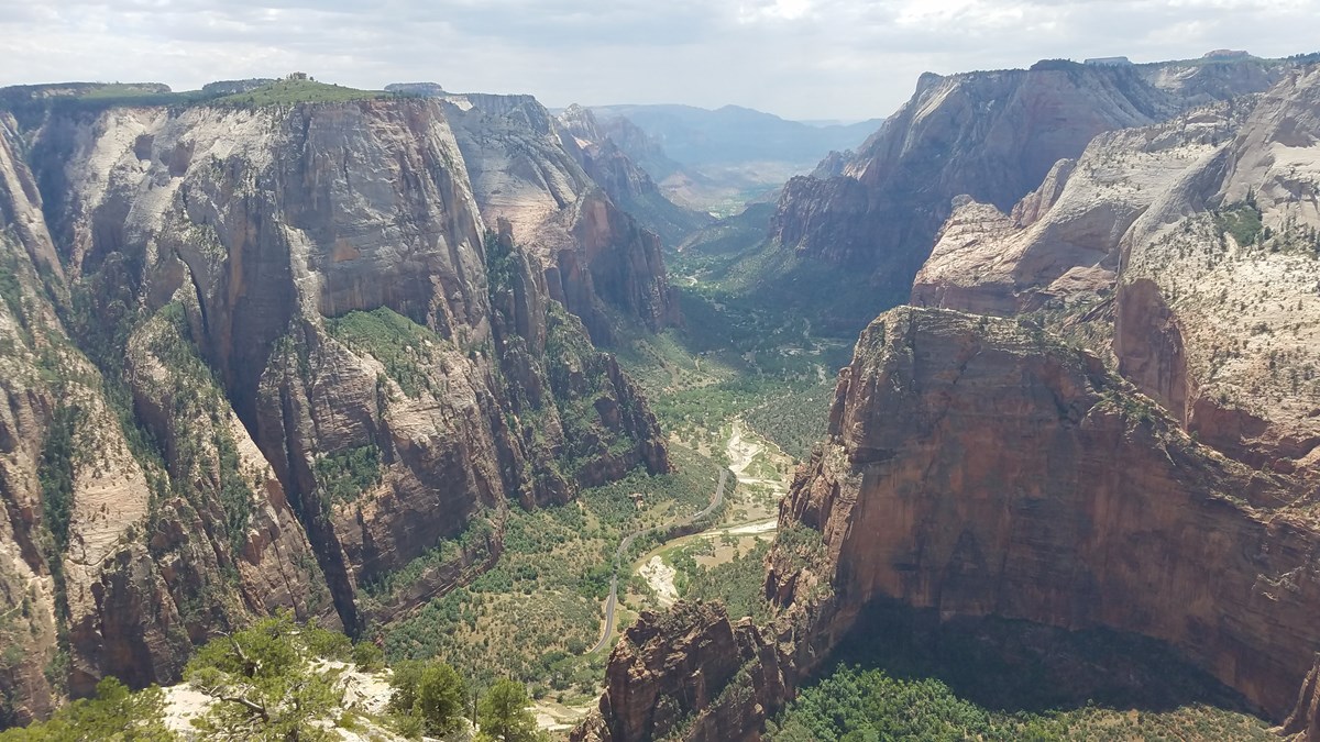 Perched on the rim of a canyon, looking down the length of Zion Canyon is laid out before you
