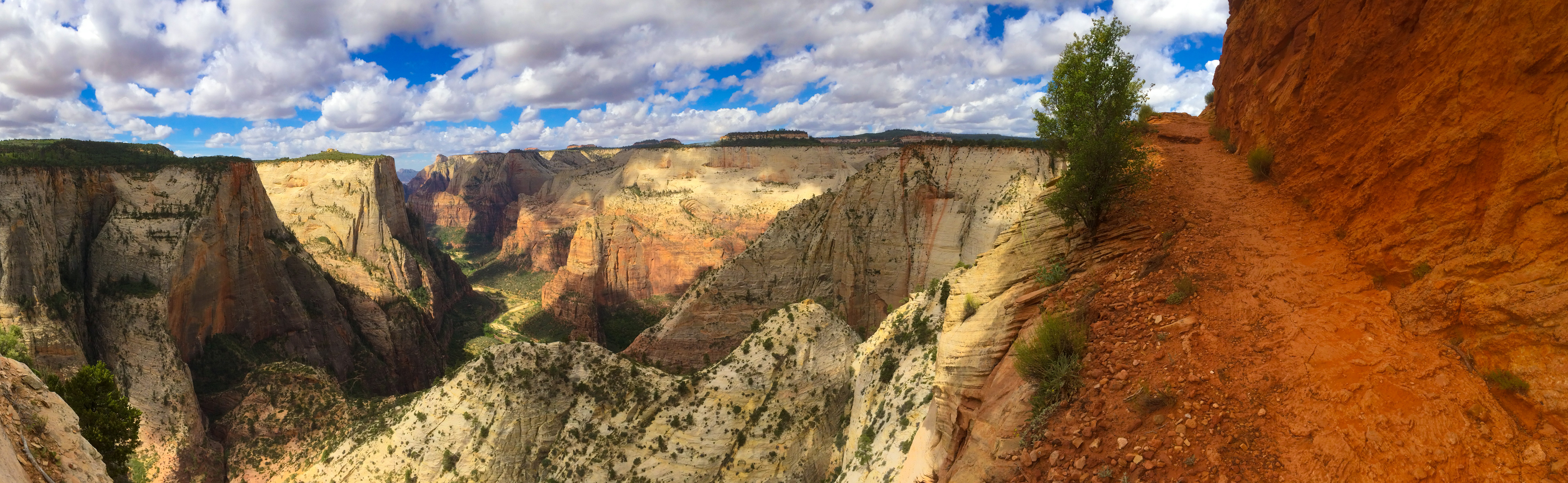 A trail carved into a sandstone slope. The trail overlooks Zion Canyon.
