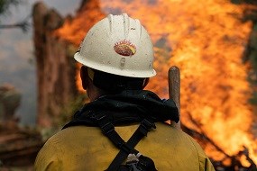 A wildland firefighter with a white helmet and Zion Wildland fire sticker monitors a pile of slash (wood) as it burns in Zion National Park