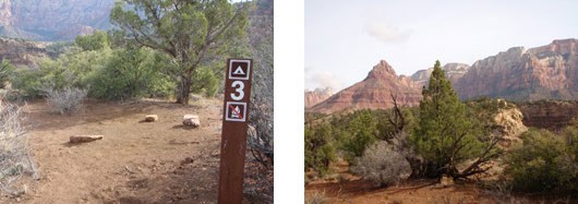 A sandy campsite located near juniper trees and dry shrubs. Large sandstone peaks are visible nearby.
